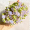 Girl's wreath