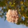 Pink crystal ring. It appears pale pink to the naked eye