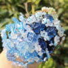Weaving Bracelet with Sea Lament (复制)