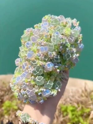 A woven bracelet full of spring atmosphere