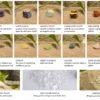 Seven color crystal raw stone set, seven color gemstone gift box set